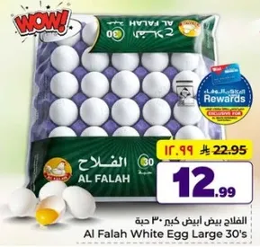 Al Falah White Egg Large 30's