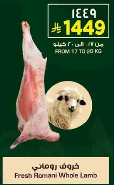Fresh Romani Whole Lamb