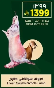 Fresh Swakni Whole Lamb