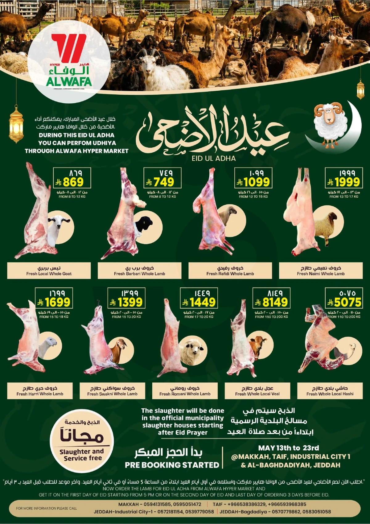 عروض حج مبرور - صفحة 40