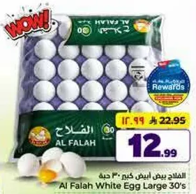Al Falah White Egg Large 30's
