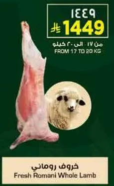 خروف روماني