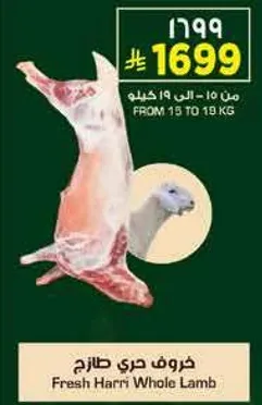 خروف حري طازج