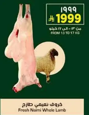 خروف نعيمي طازج