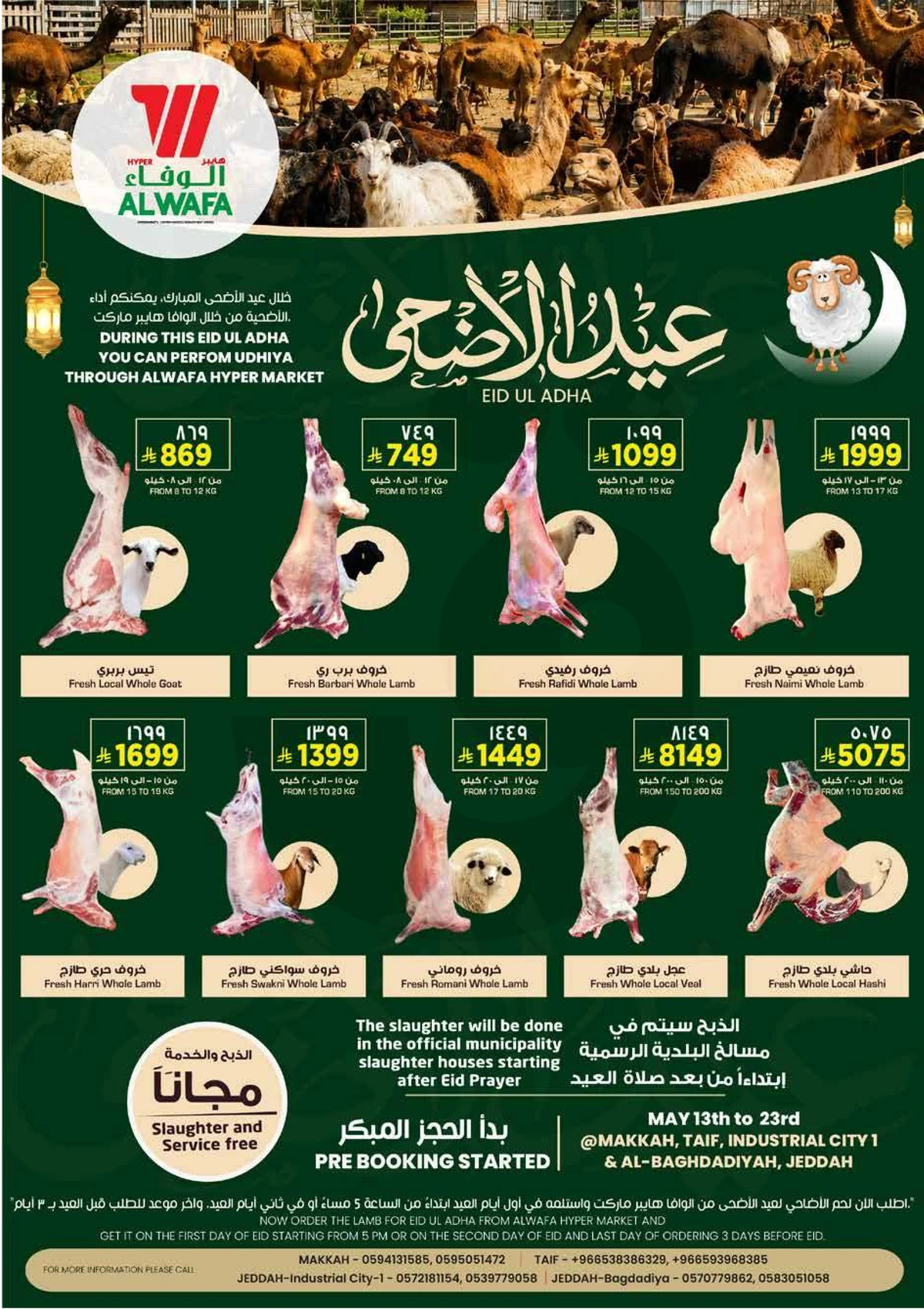 عروض حج مبرور - صفحة 21