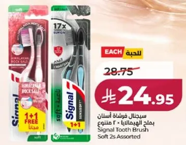 فرشاه اسنان سيجنال 2 × 1 متنوع