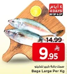 سمك باقه كبير للحكيلو