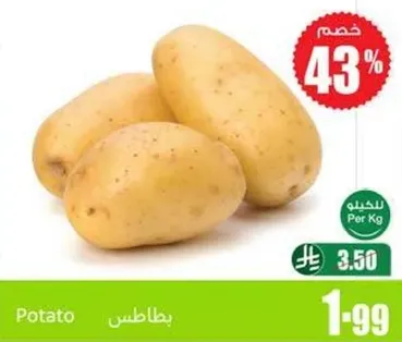 بطاطس