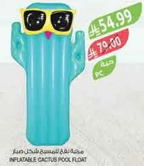 مسبح علي شكل صبار