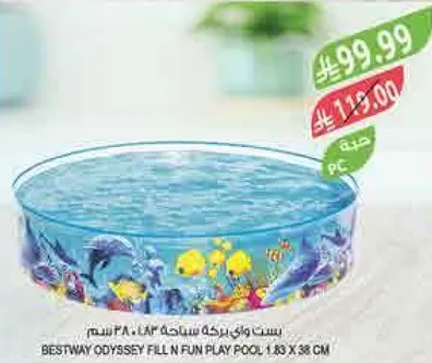 بركه سباحه للاطفال 183 × 38 سم