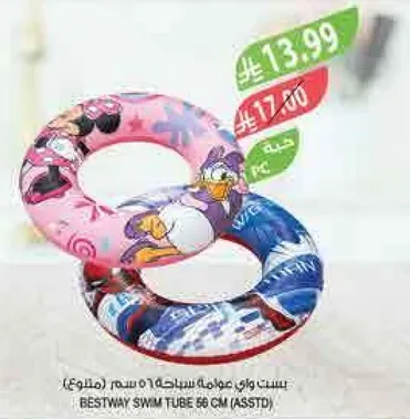بست واي عوامه سباحه 56 سم (متنوع)