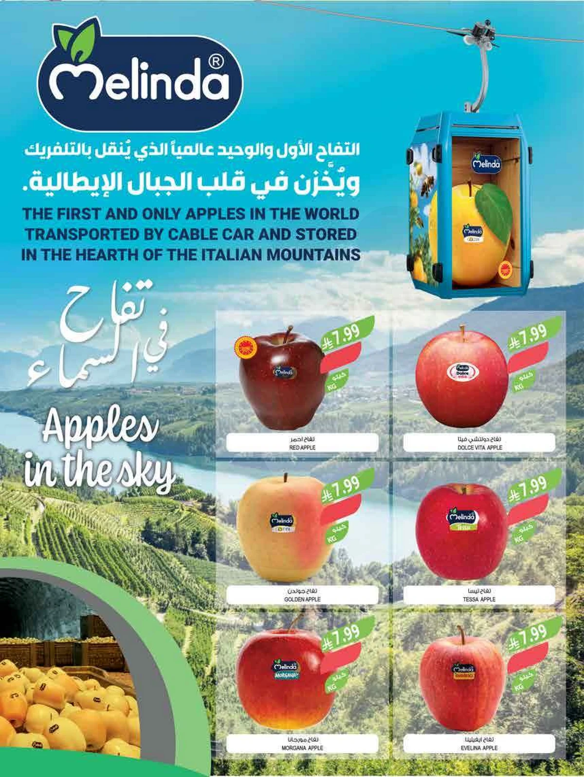 عيد أضحى مبارك - صفحة 48