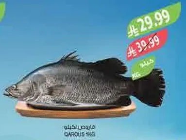 Fresh fish, available in 1 kg.