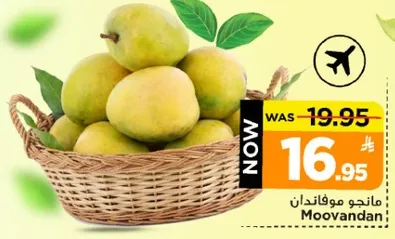 مانجو موفاندان