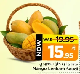 مانجو لنكرا سعودي