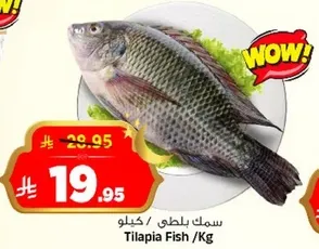 Tilapia Fish /Kg