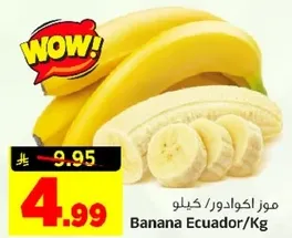 موز اكوادور/كغ