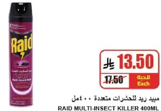 Raid Multi-Insect Killer 400ml