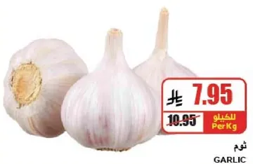 Garlic