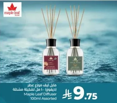 Maple Leaf Diffuser 100ml Assorted