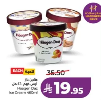 Haagen Dazs Ice Cream 460ml