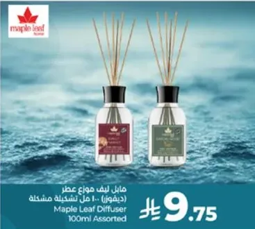 Maple Leaf Diffuser 100ml Assorted