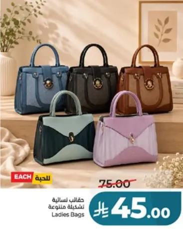 Ladies Bags assorted collection.