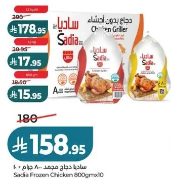 ساديه دجاج مجمد 800 جرام × 10