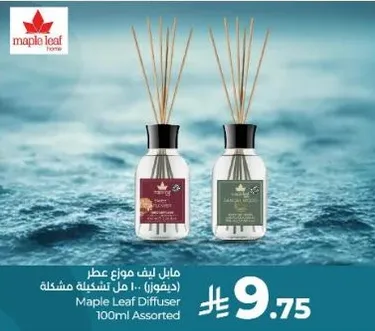 Maple Leaf Home Fragrance Diffuser 100ml Assorted