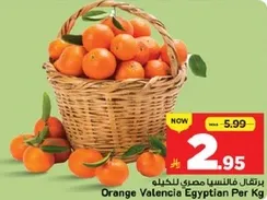 برتقال فالنسيا مصري للكيلو