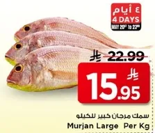 Murjan Large Per Kg
