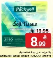 Packwell Facial Tissue 10x200 Sheets