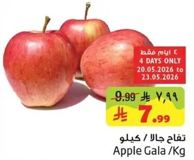 تفاح جالا / كيلو