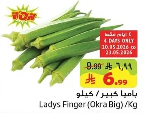 باميه كبيره / كيلو