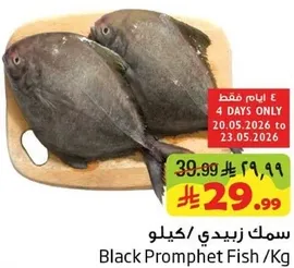 سمك زبيدي /كيلو