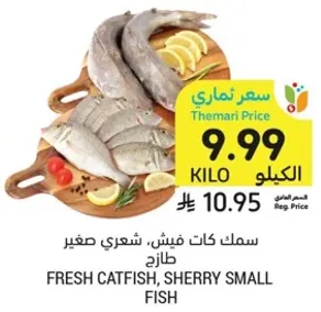 سمك كات فيش، شعري صغير طازج.