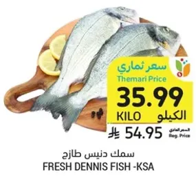 سمك دينيس طازج