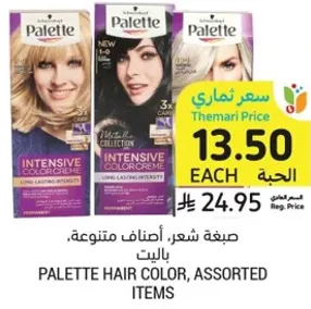 Palette Hair Color, Assorted Items