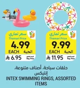 Intex swimming rings, assorted items.