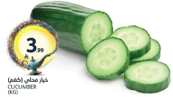 خيار محلي