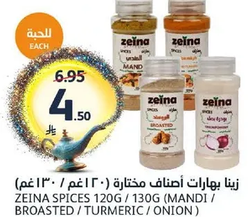 Zeina Spices 120g / 130g (Mandi / Broasted / Turmeric / Onion)