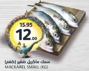 Small mackerel (kg)