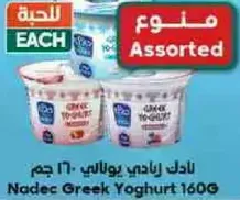 Nadec Greek Yoghurt 160G assorted flavors.