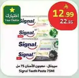 سجنال - معجون الاسنان 75 مل