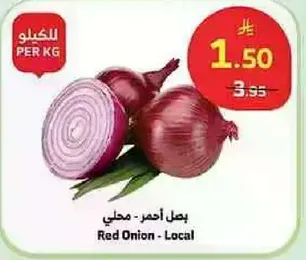 بصل احمر - محلي