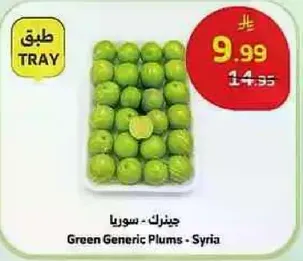 Green Generic Plums - Syria