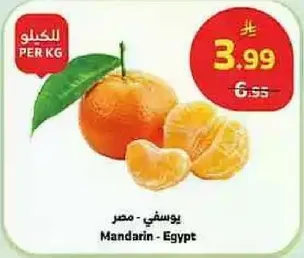 Mandarin - Egypt
