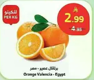Valencia oranges from Egypt.