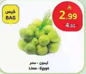 Lime - Egypt