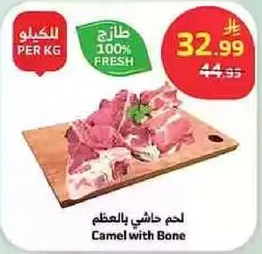 Camel with Bone